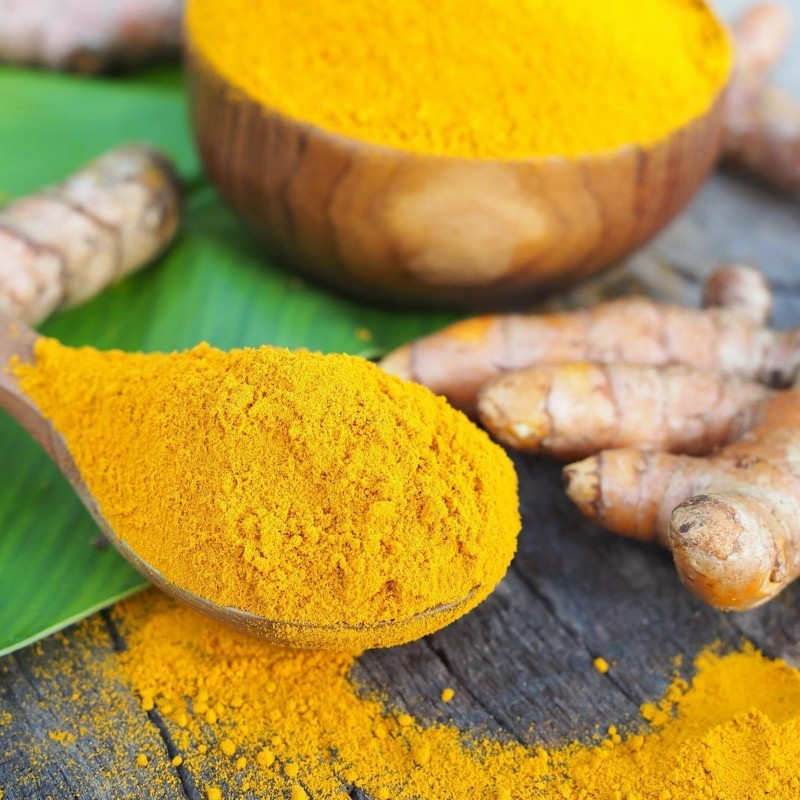 Kurkuma oder Kurkume Rhizome Gewürz (Curcuma longa)