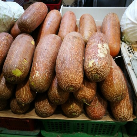 Price: €1.65 - Semi di Cetriolo Poona kheera -