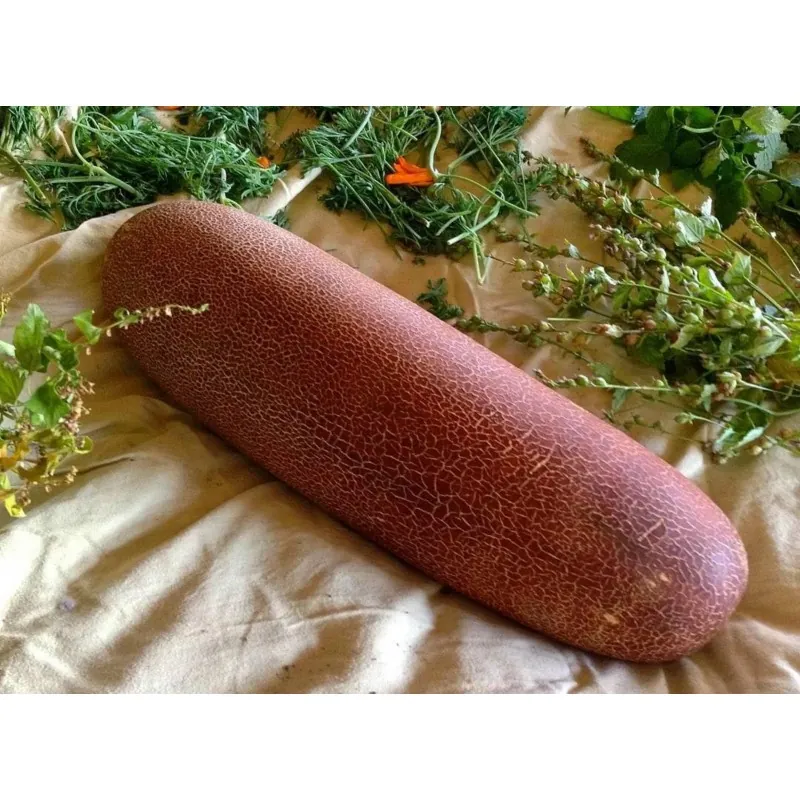 Semințe de castraveți Poona Kheera
