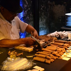 Price: €2.45 - Sementes de Tabaco HAV. COROJO - 