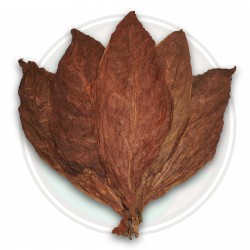 Price: €2.5 - Duvan Seme C. Criollo 98 - 