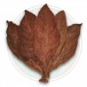 Price: €2.5 - Tabaksamen C. Criollo 98 - 