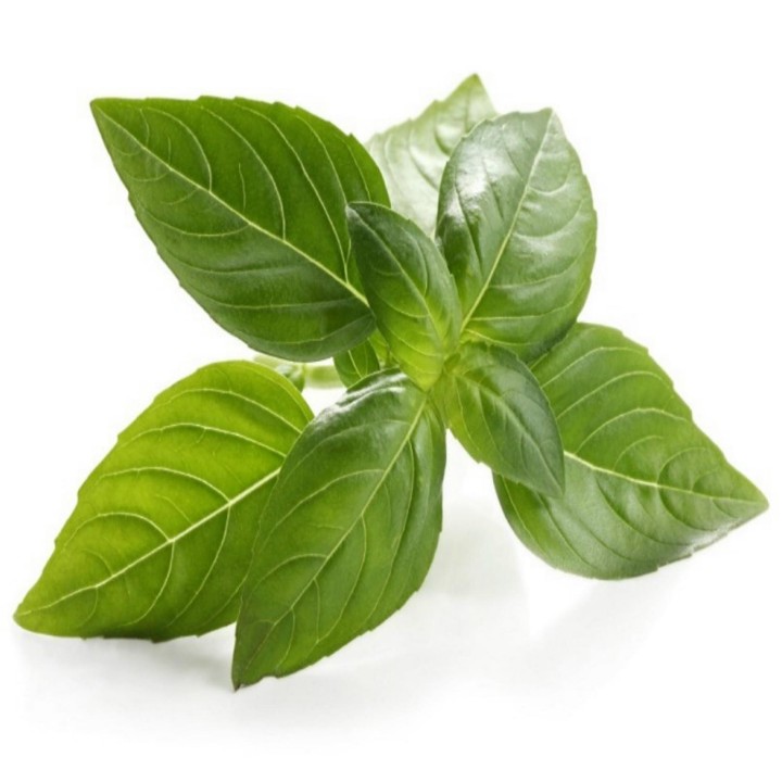 Basil Seeds MIX 4 different varieties - 216.985714