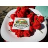 Price: €1.95 - Trinidad Moruga Frön 2 milj. Scoville - Seeds Gallery