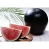 Frön Svart vattenmelon