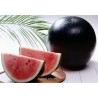 Price: €2.5 - Semillas dulces sandía Negro - 