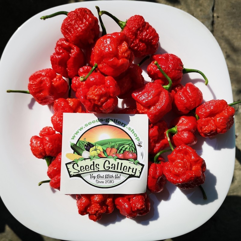 Price: €1.95 - Trinidad Moruga Frön 2 milj. Scoville - Seeds Gallery
