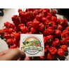 Price: €1.95 - Trinidad Moruga Frön 2 milj. Scoville - Seeds Gallery