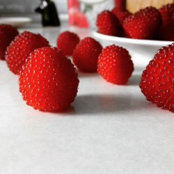 Balloon Berry, Strawberry Raspberry Seeds 0 - 1