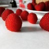 Price: €1.95 - Balloon Berry, Strawberry Raspberry Seeds - Seeds Gallery