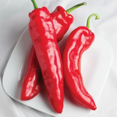Graines de Poivron MARCONI ROUGE