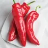 Graines de Poivron MARCONI ROUGE