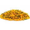 5 Fresh Charapita Fruits with Seeds - Limited time offer | 10,00 €