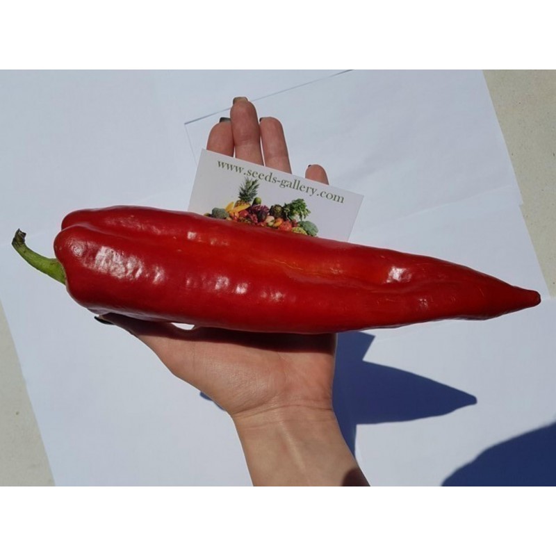 Price: €1.75 - Florinis Greece Sweet pepper Seeds - Seeds Gallery