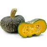 Graines de Courge MARINA DI CHIOGGIA
