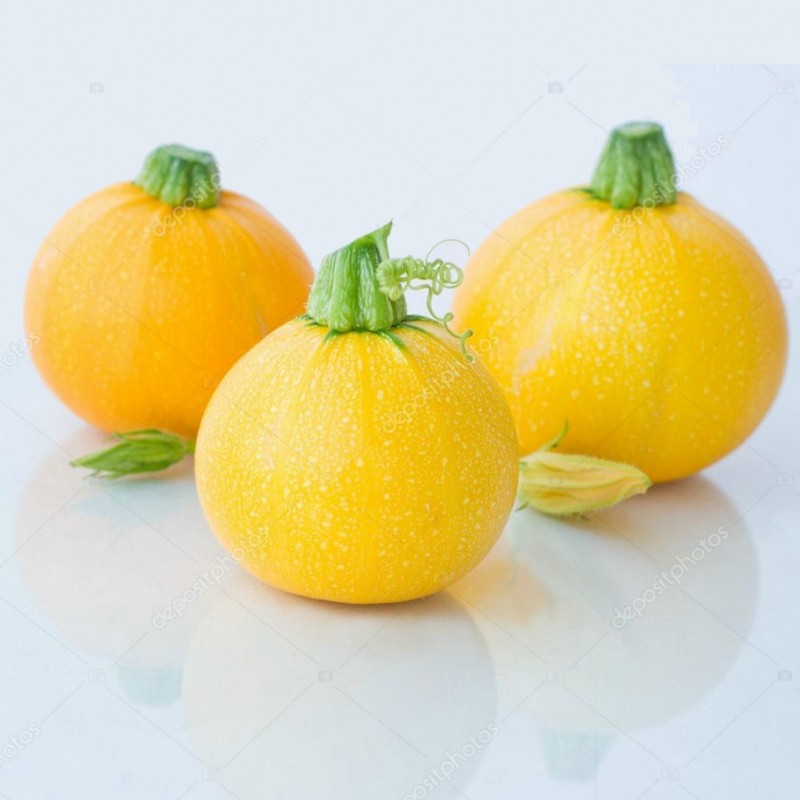 Price: €1.95 - Semillas de calabacín Amarillo Redondo - Seeds Gallery
