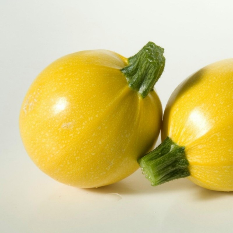 Price: €1.95 - Yellow Round Squash - Zucchini Seeds - Seeds Gallery