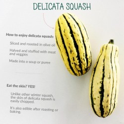 DELICATA Squash Seeds 2 - 1