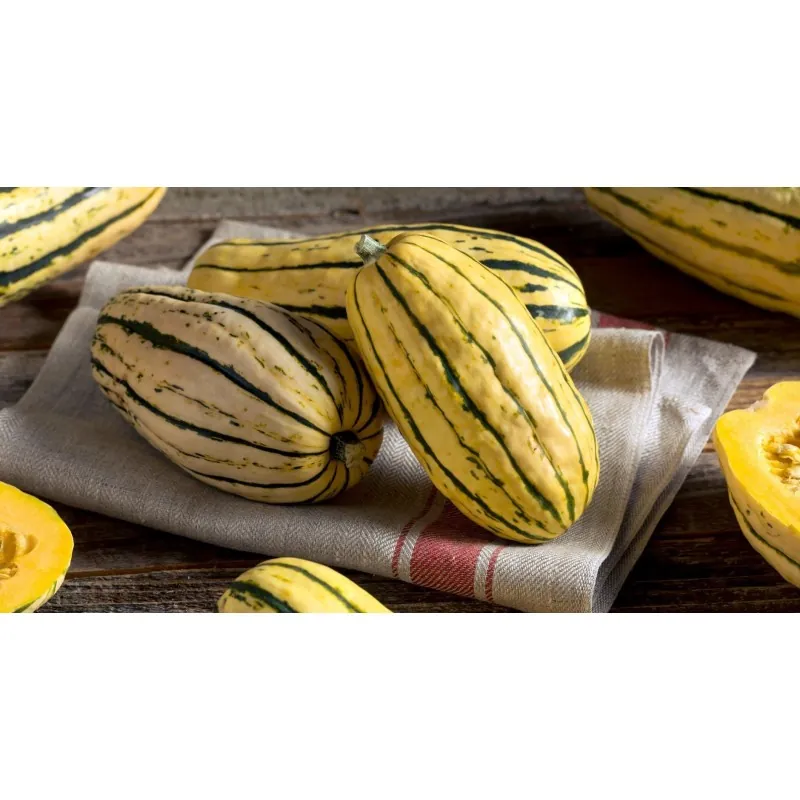 Delicata squashfrön