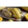 Delicata squashfrön
