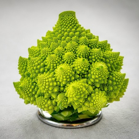 Price: €2.15 - Semillas de Broculi Verde Romanesco -