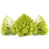 Blomkål Frön - Romanesco