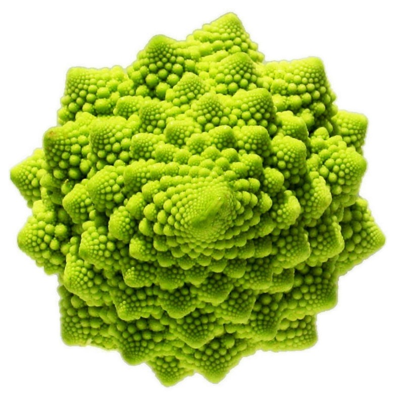 Price: €2.15 - Semillas de Broculi Verde Romanesco - 