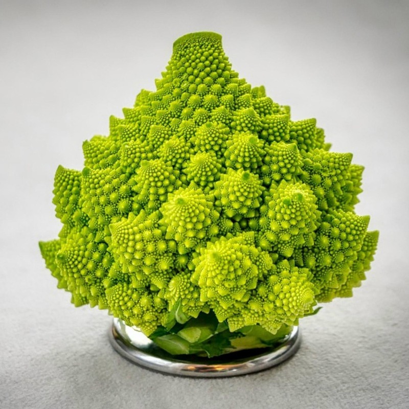 2000 Graines Chou fleur vert Romanesco