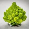 2000 Seeds Cauliflower  Romanesco