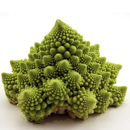 2000 Seeds Cauliflower  Romanesco