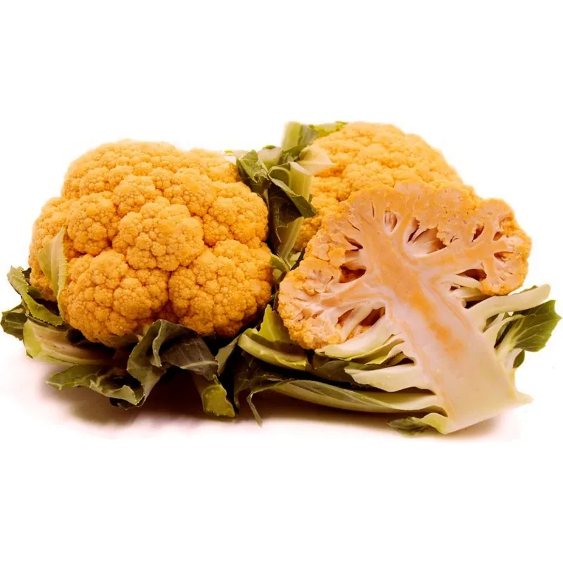 Blumenkohl orange Samen Früh + Herbst Saatgut