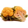 Price: €2.75 - Semi di Cavolfiore Color Arancio - 