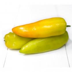 Sweet pepper seeds ROMANCE - Variety from Serbia 2.049999 - 2