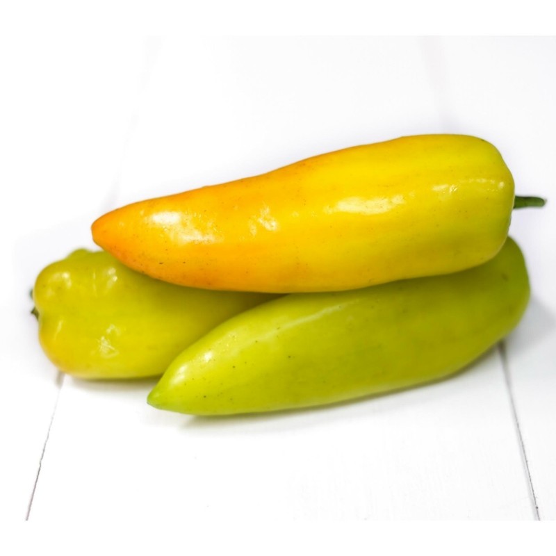 Price: €1.95 - Paprikasamen ROMANSA - Sorte aus Serbien - 