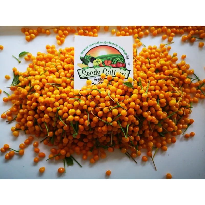Seco frutas frescas Charapita com Sementes