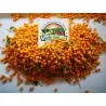 Frutos secos de charapita con semillas