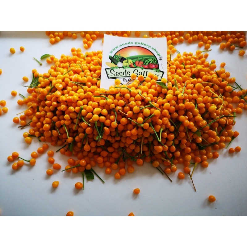 5 Fresh Charapita Fruits with Seeds - Limited time offer | 10,00 €