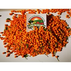 5 Fresh Charapita Fruits with Seeds - Limited time offer 10 - 4