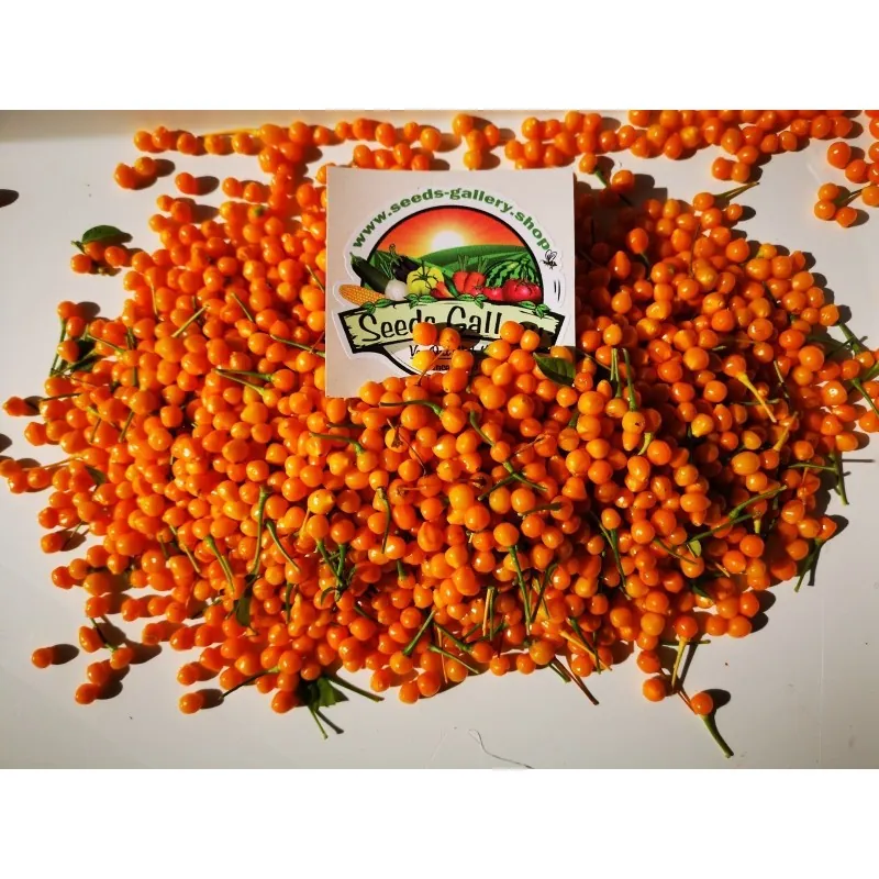 5 Fresh Charapita Fruits with Seeds - Limited time offer