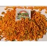 5 Fresh Charapita Fruits with Seeds - Limited time offer