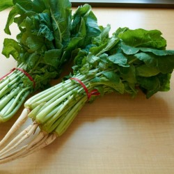 Sementes de rabanete