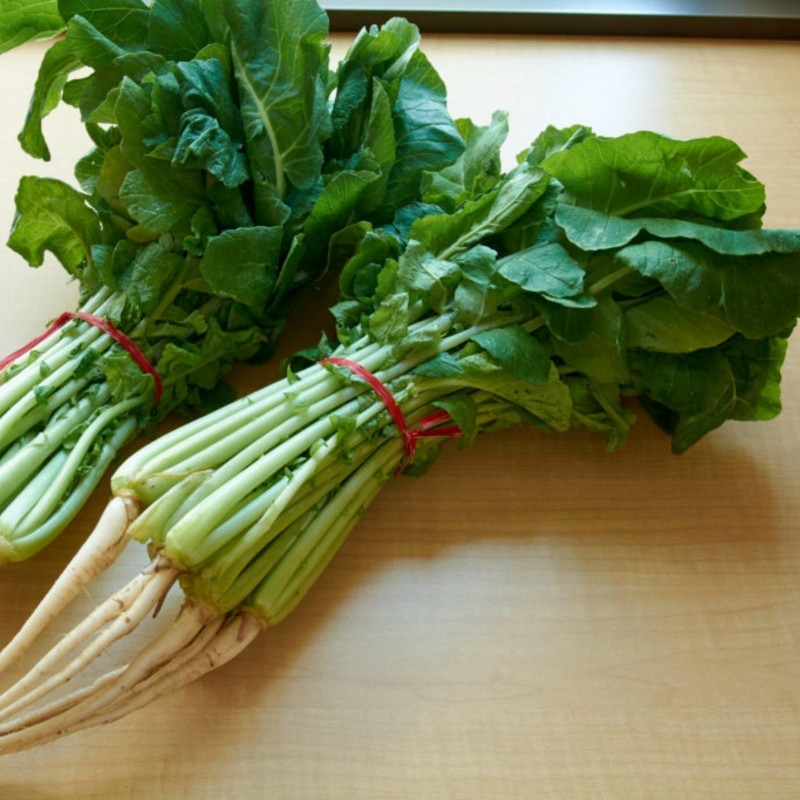 Σπόροι YEOLMU Κορέας Νέοι Καλοκαίρι ραπανάκι