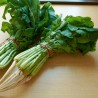 YEOLMU koreanska unga sommarradisfrön | 3,00 €