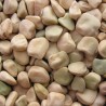 Graines Gesse commune, Pois carré, Lentille d'Espagne | 1,55 €