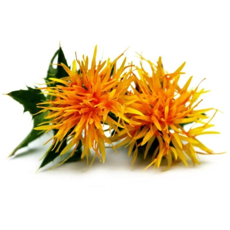 Safflower Seeds (Carthamus tinctorius)