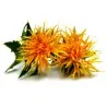 Safflower Seeds (Carthamus tinctorius)