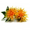 Sementes de Açafrão-Bastardo (Carthamus tinctorius) | 1,95 €