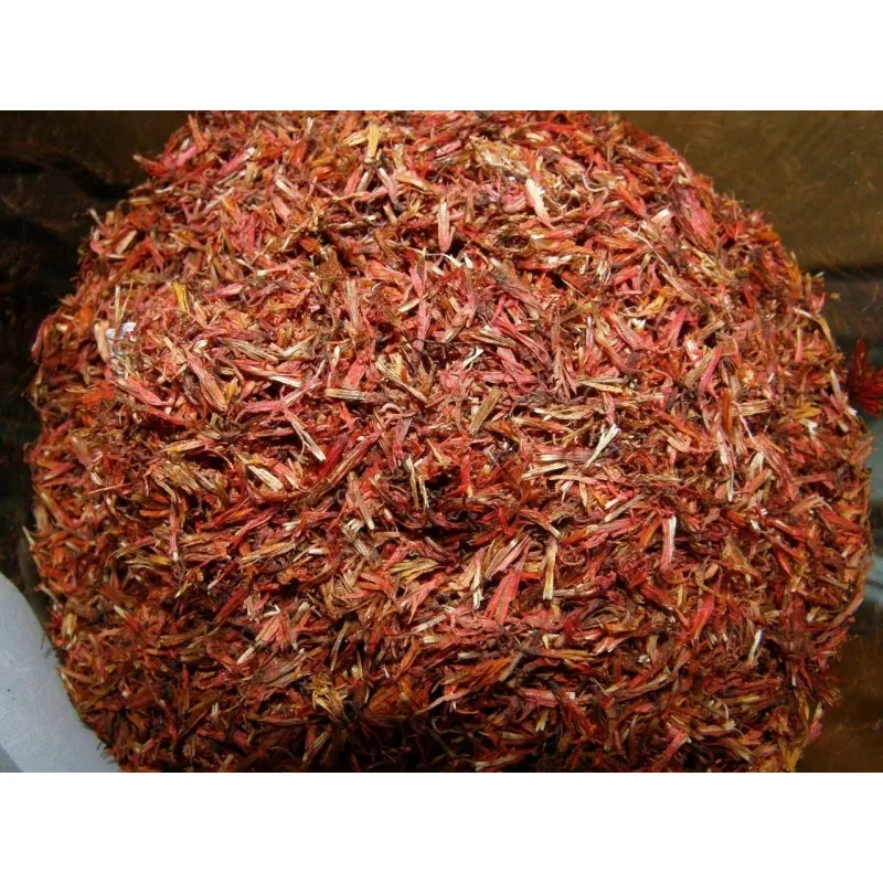 Safflower Seeds (Carthamus tinctorius)