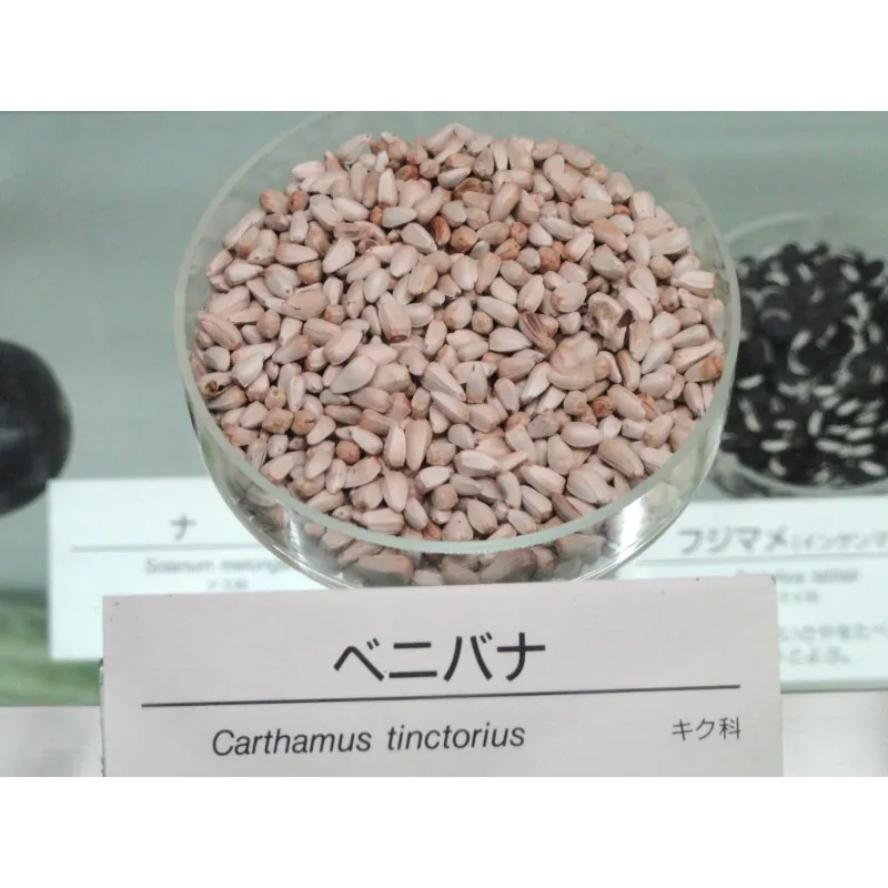 Safflower Seeds (Carthamus tinctorius)
