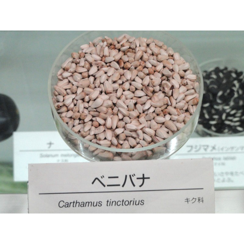 Semillas de Cártamo o Alazor (Carthamus tinctorius) | 1,95 €